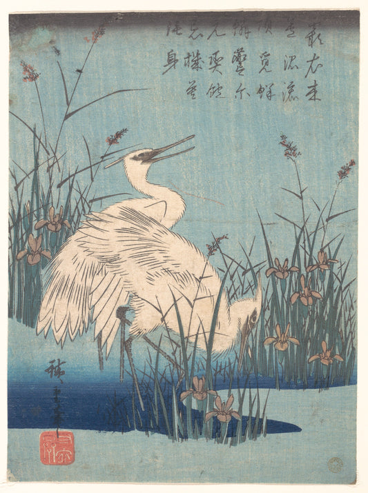 Utagawa Hiroshige, Pure White Egrets Among Summer Irises, Edo period, Ukiyo-e woodblock print