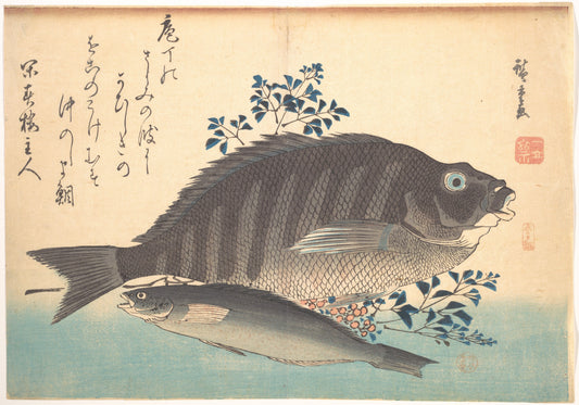Utagawa Hiroshige, Shimadai and Ainame, from Uozukushi series, Edo period, Ukiyo-e woodblock print