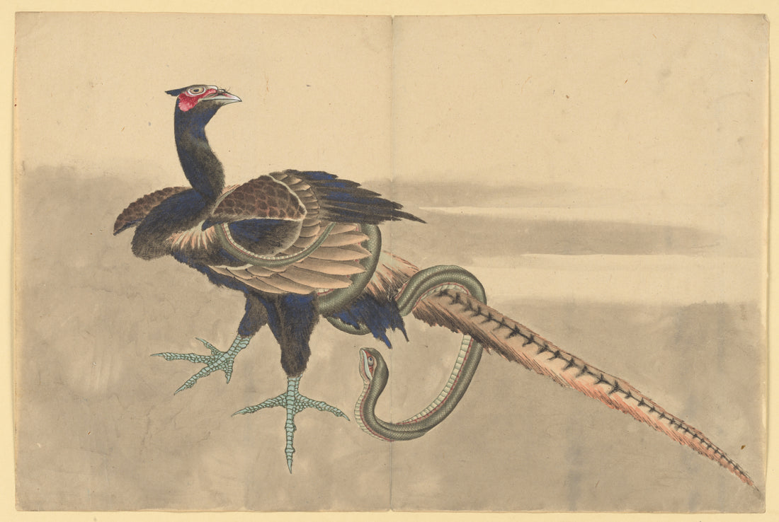 School of Katsushika Hokusai, Pheasant and Serpent, c. 1833, Ukiyo-e woodblock print