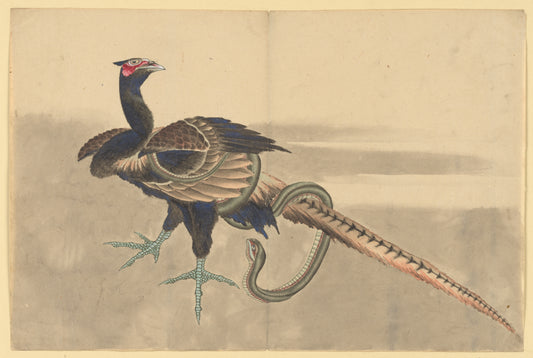 School of Katsushika Hokusai, Pheasant and Serpent, c. 1833, Ukiyo-e woodblock print